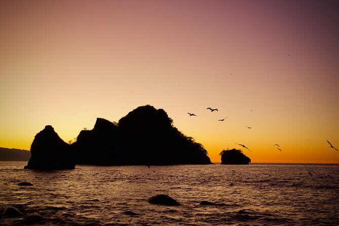 Sunset and Bioluminescence Boat Tour at Los Arcos Islands - Price and value: $79 for a rare natural show