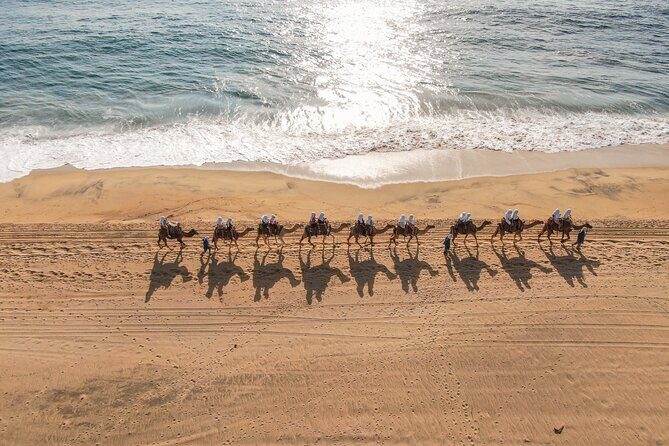 Sunset beach Camel ride with Mexican Buffet and Tequila Tasting - Key things that make this tour worth your time