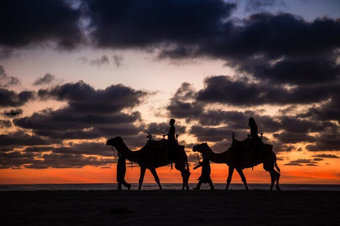 Sunset beach Camel ride with Mexican Buffet and Tequila Tasting - How pickup and timing can shape your day