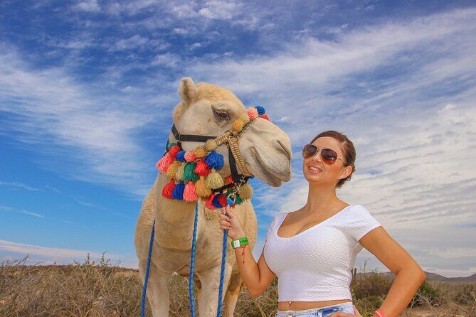 Sunset beach Camel ride with Mexican Buffet and Tequila Tasting - Camel meet-and-greet: up close, calm, and surprisingly organized