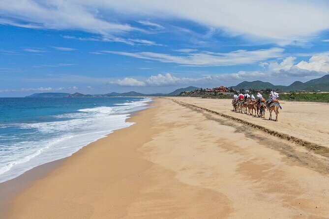 Sunset beach Camel ride with Mexican Buffet and Tequila Tasting - Tequila tasting: included drinks and how to make it fun