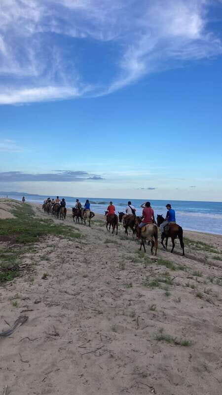 Sunset by Horse on the Beach - Fields, Cattle Country, and the River Crossing