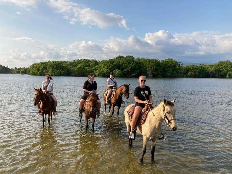 Sunset by Horse on the Beach - Dusk After the Sun Goes Down: The Short Return and Fireflies