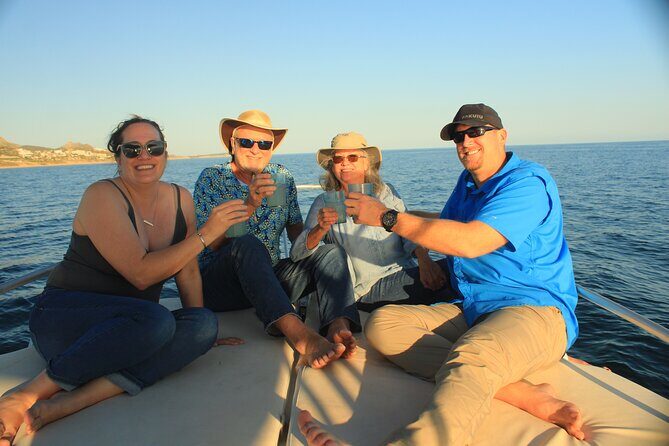 Sunset Cruise San José del Cabo, Appetizers, open bar, snack - Who Should Book This Sunset Cruise From San José del Cabo?