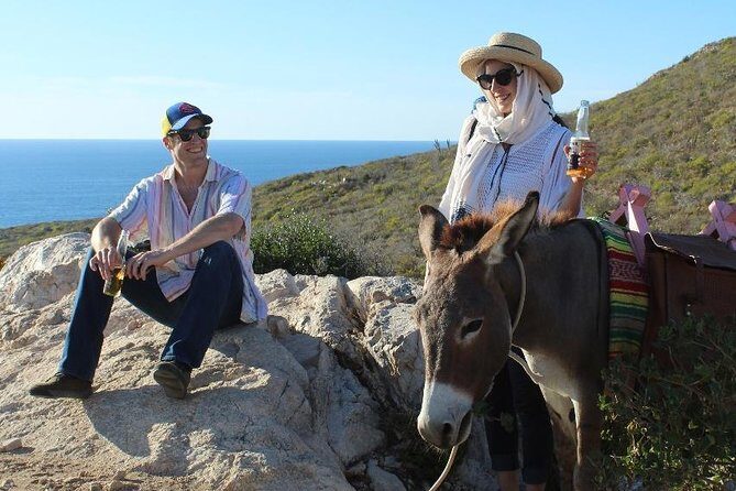 Sunset Pacific Donkey Hiking Tour - Key points before you go