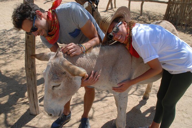 Sunset Pacific Donkey Hiking Tour - Getting to the ranch from Cabo San Lucas (and why location matters)