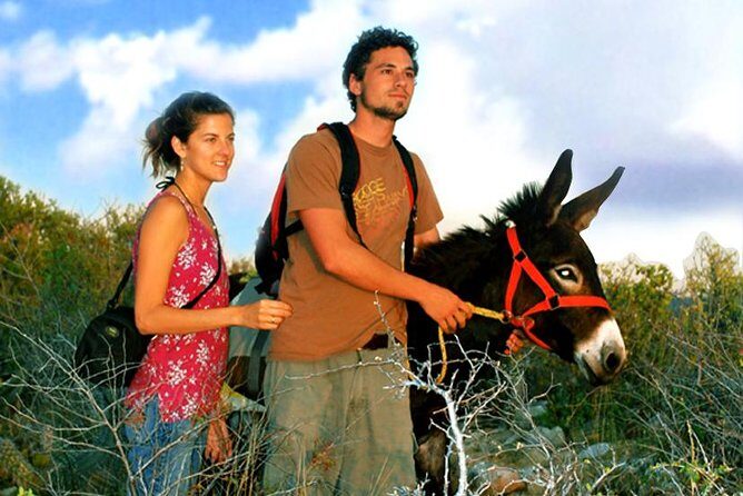 Sunset Pacific Donkey Hiking Tour - What actually happens on the trail (step-by-step)