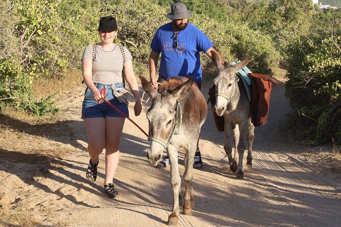 Sunset Pacific Donkey Hiking Tour - Private guide upgrade: when it makes sense