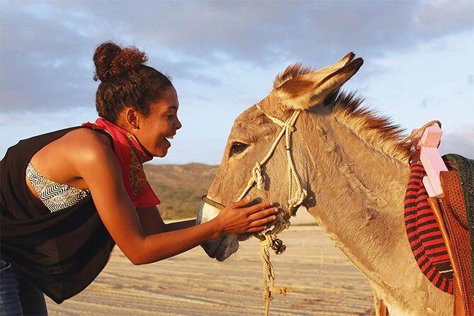 Sunset Pacific Donkey Hiking Tour - The timing choice: 9:30am, 12:30pm, or 3:30pm