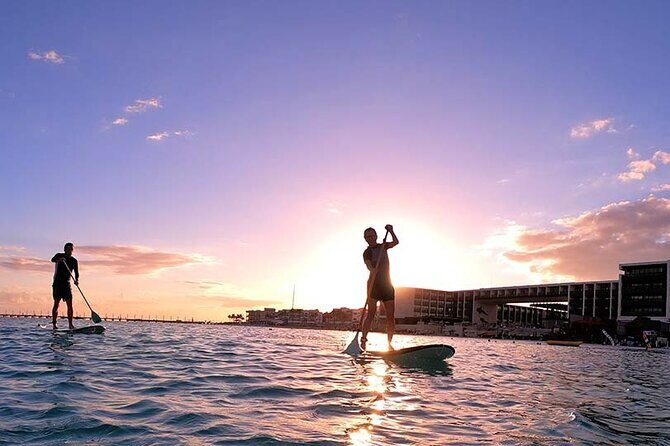 Sunset Session - An Exciting Paddleboard Adventure For All Levels - On the Water With Aloha Paddle Guides: Instruction That Actually Helps