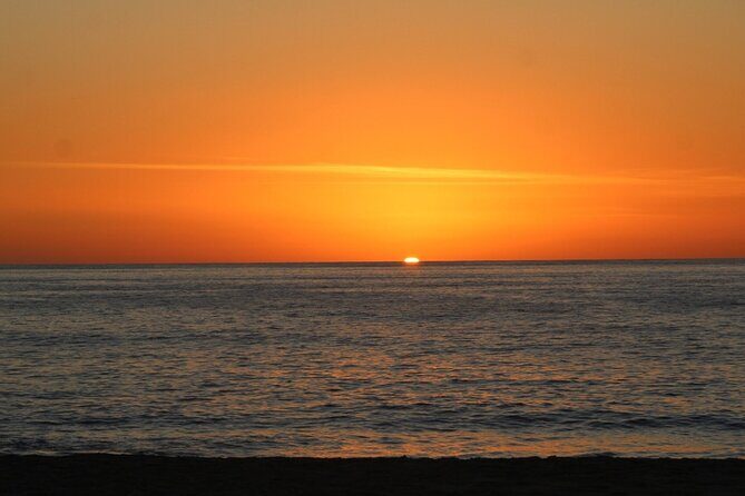 Sunset Whale Cruise in Cabo San Lucas - Sunset Timing From 5:00 pm: The Logic Behind This Cruise