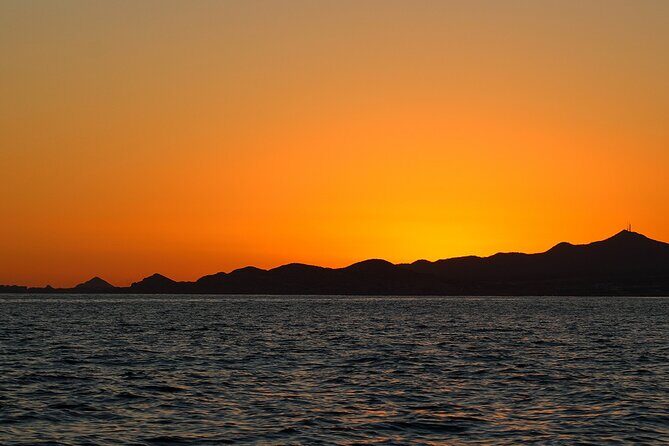 Sunset Whale Watching in San Jose del Cabo - Captain Chato and Guide Paola: The Human Touch on the Water