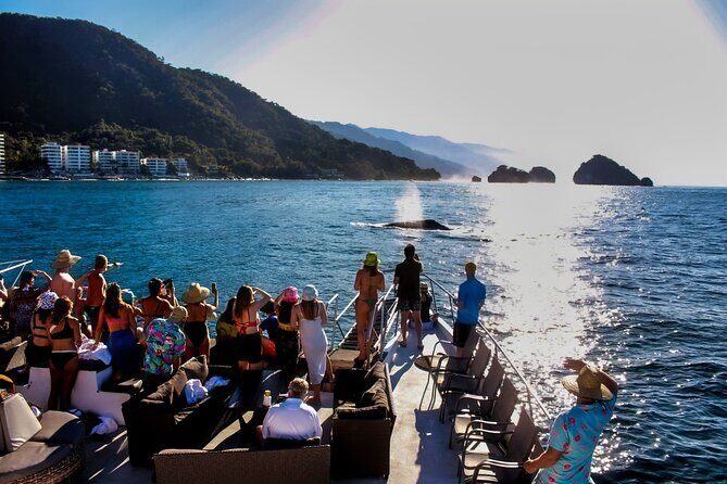 Sunsets and Whales Mega Yachts ALL INCLUSIVE: Puerto Vallarta - Price and what $80 actually gets you