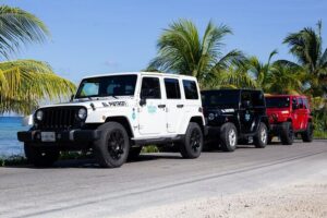Super Cozumel Combo Snorkel by Boat and Jeep Exploration (Private) - Snorkeling near the reef: guided, but not private