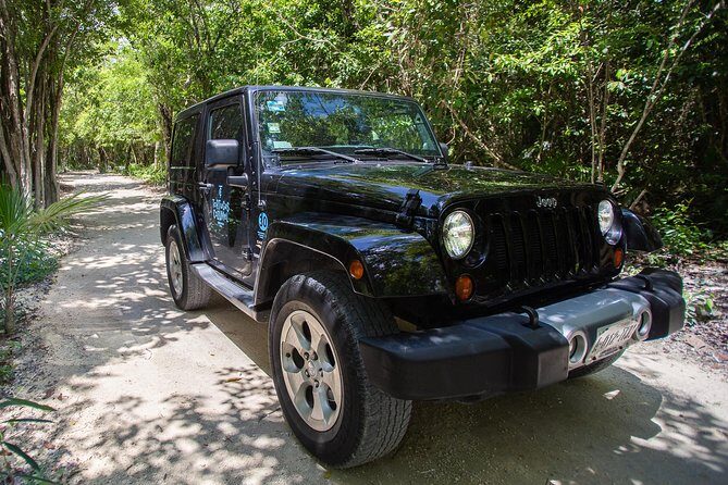 Super Cozumel Combo Snorkel by Boat and Jeep Exploration (Private) - Timing, meeting points, and the one driving rule that matters