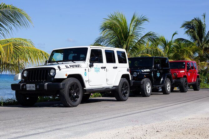 Super Cozumel Combo Snorkel by Boat and Jeep Exploration (Private) - Snorkeling near the reef: guided, but not private