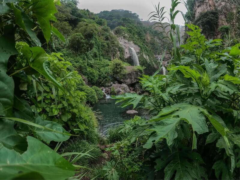 Swim in lush springs and waterfalls in Guadalajara - The 6-Kilometer Hike: Boots, Bugs, and a Slippery Descent