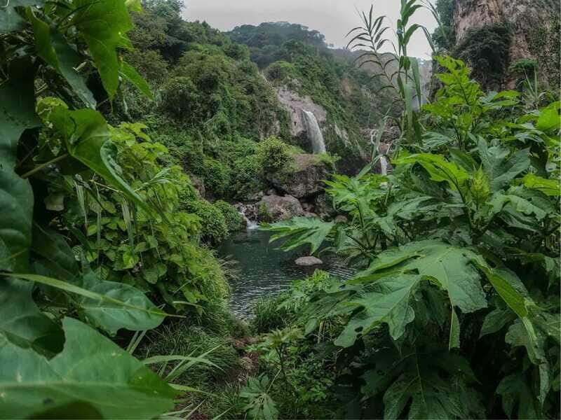 Swim in lush springs and waterfalls in Guadalajara - Where You Actually Swim: Water Temperature, Fish, and What Changes in Dry Season