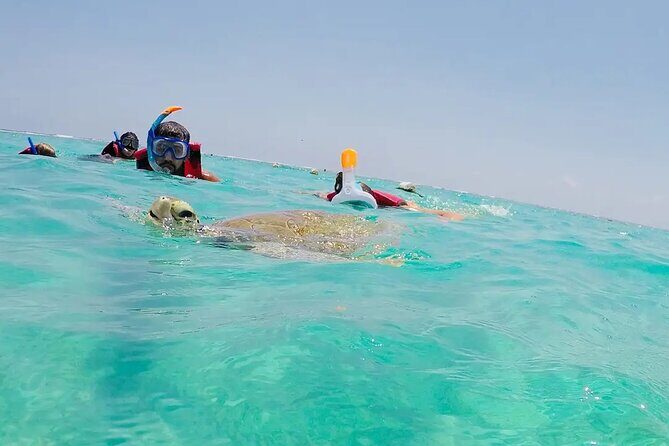 Swim with akumal turtles - What to bring (so your swim stays comfortable and turtle-friendly)