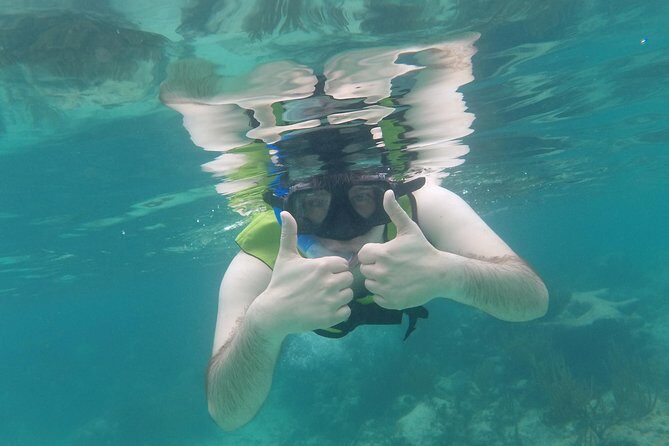 Swim with sea turtles - What’s Not Included: Photography and How to Plan Around It