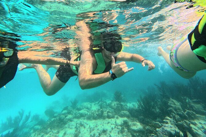 Swim with Turtles in Akumal + GoPro Photo Session - The Akumal turtle route: what you’re actually doing in the water