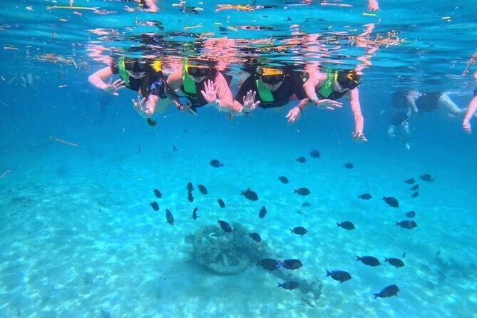 Swim with Turtles in Akumal + GoPro Photo Session - Beyond the swim: using the park facilities and staying longer