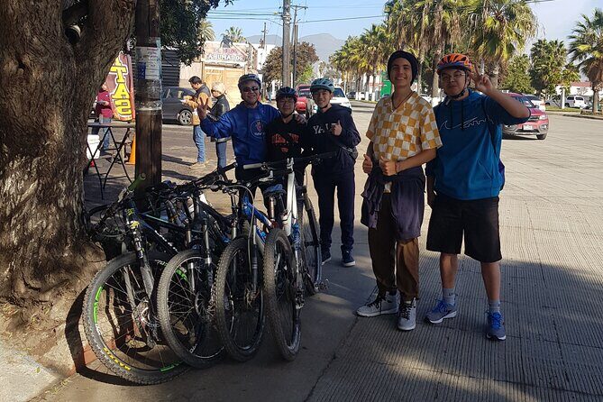 Taco Ride: Discover the World's Best Fish Tacos by Bike - Stop 2 at Tacos Fenix for Fish or Shrimp Without Second-Guessing