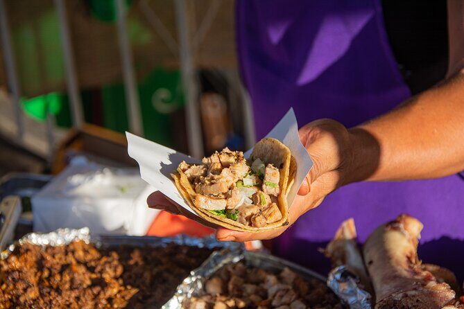 Taco Safari in Cabo San Lucas - Taco Safari in Cabo: what you get for $75