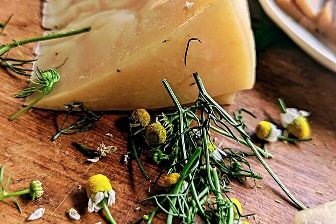 Taste of Europe in Mexico: History and Flavors of Artisan Cheese - Cheese-making basics and artisan vs commercial: how to taste with intent