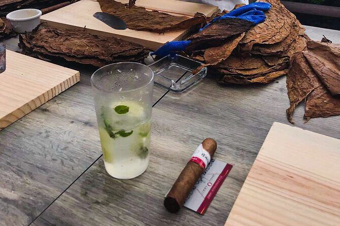 Taste of Mexico: Rolling Cigar & Tequila Experience with transfer - Cozumel downtown shopping: what you can do with the time you have
