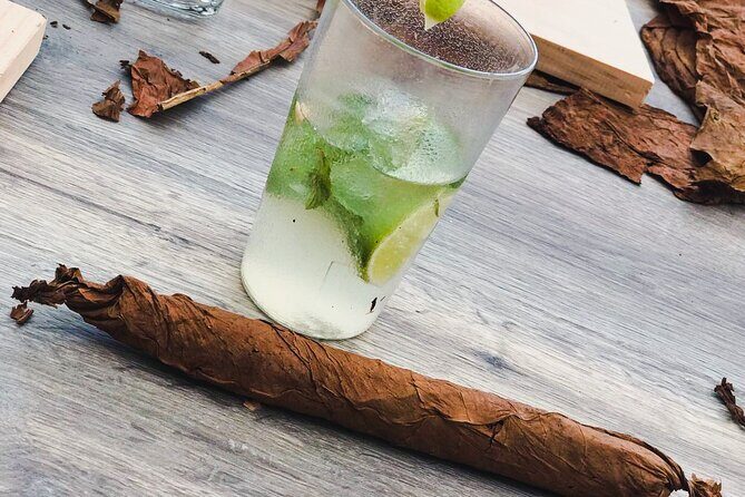 Taste of Mexico: Rolling Cigar & Tequila Experience with transfer - Timing, heat, and group size: how to avoid the common headaches