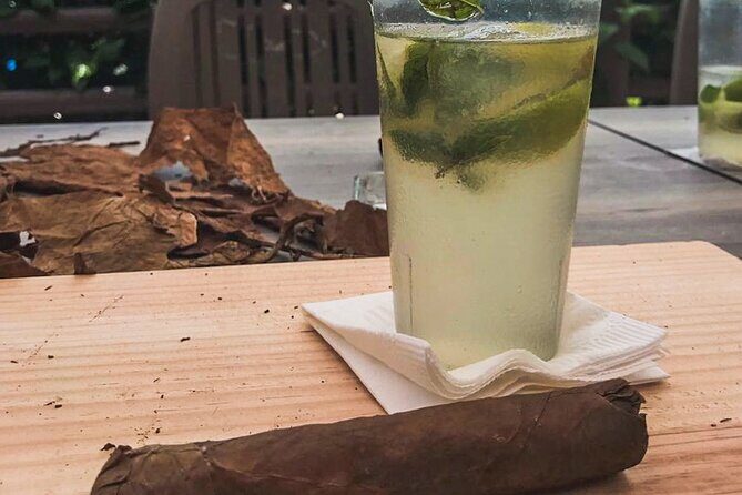 Taste of Mexico: Rolling Cigar & Tequila Experience with transfer - Price and value: when this combo feels like a deal