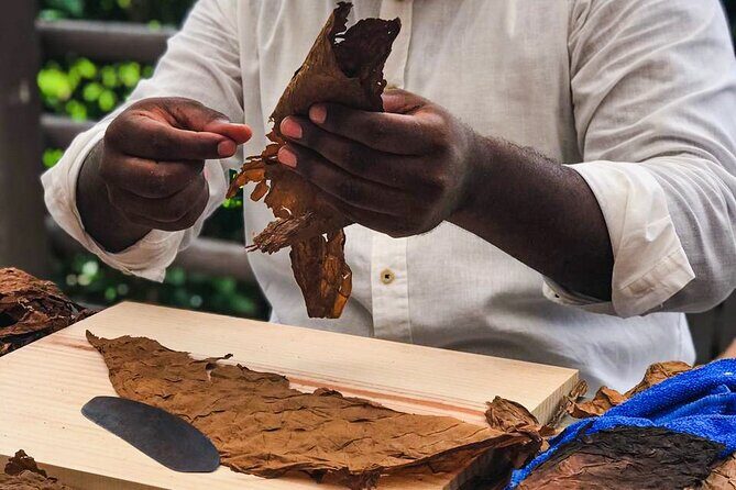 Taste of Mexico: Rolling Cigar & Tequila Experience with transfer - Should you book this Cozumel cigar-and-water park day?