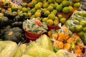 Taste of the Yucatan: Merida Cooking Class and Market Visit - Plaza Grande to the Catedral: setting the stage before the food