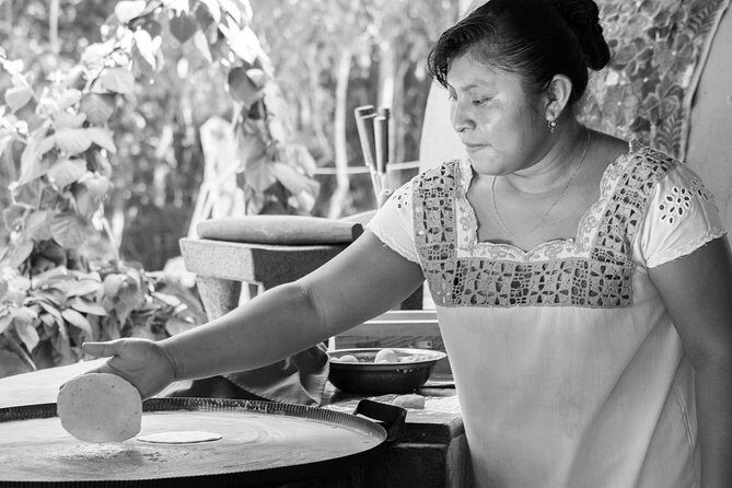 Tasty Mexican Cooking Class with Feast in Riviera Maya - Price and value: $161.30 is the math, not the marketing