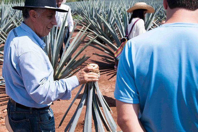 Tequila distillery experience, Jose Cuervo & Tequila Magic Town - Tequila tasting: how to taste what you’re sipping