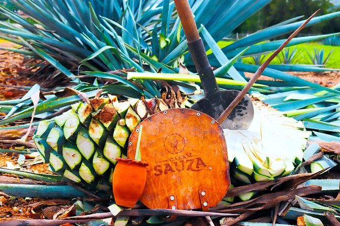 Tequila Express - Key Things I’d Tell a Friend Before Booking