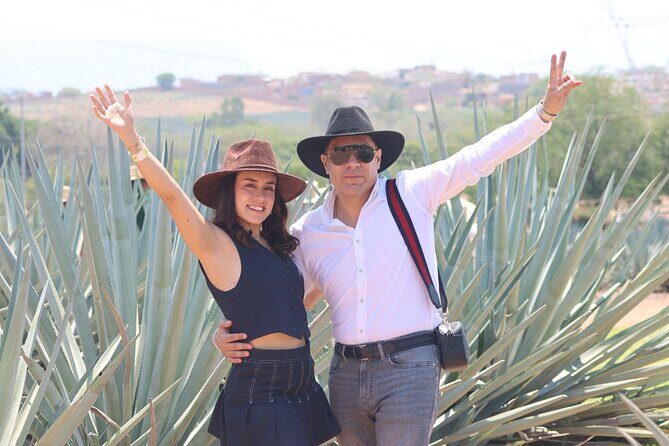 Tequila Express - Train Ride to Tequila: Comfort Plus Tequila-Adjacent Nibbling