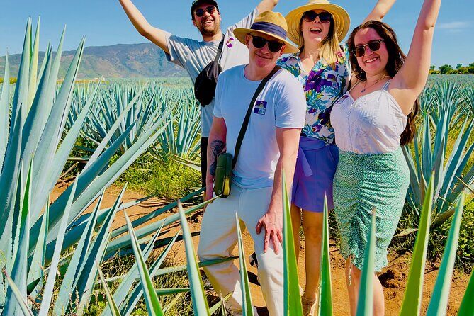 Tequila/Guachimontones Tour-cultural heritage route - Getting to Teuchitlán: the drive time and the day’s rhythm