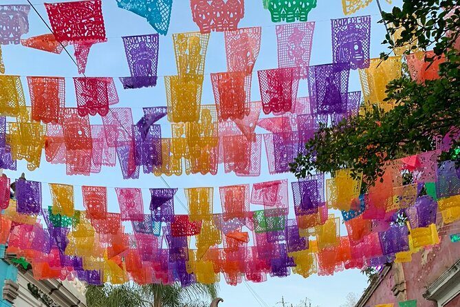Tequila Premium Tour Destination Agave - Stop 4: Free Time in Tequila Town (Jose Cuervo, Casa Sauza, Museums)