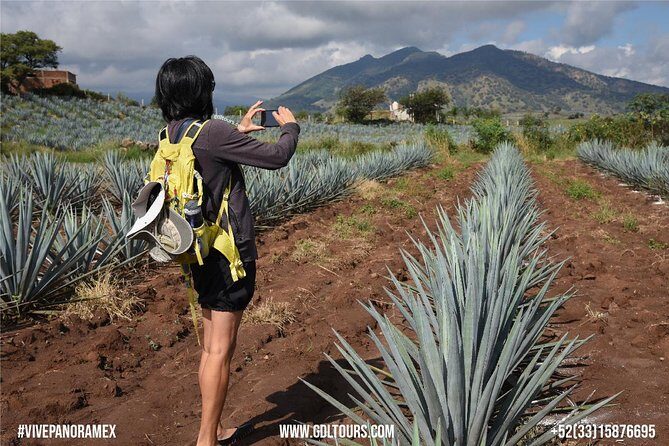 Tequila Route Experience from Guadalajara - Route 43 and clay-jug cocktails: tequila tasting, but social