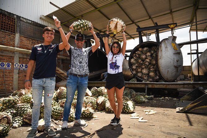 Tequila Route Experience from Guadalajara - UNESCO blue agave views and Jose Cuervo fields