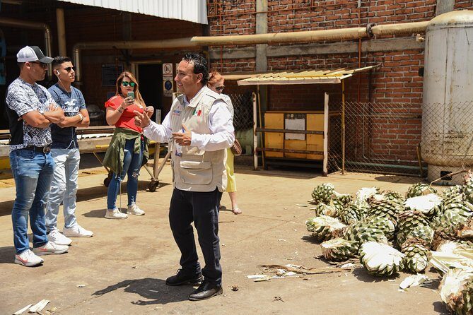 Tequila Route Experience from Guadalajara - Tequila town (Magical Town): plaza time, parish views, and optional tours