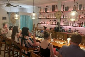 Tequila Tasting Experience - The First Phase: Welcome Cocktail and Tequila 101 (in English)