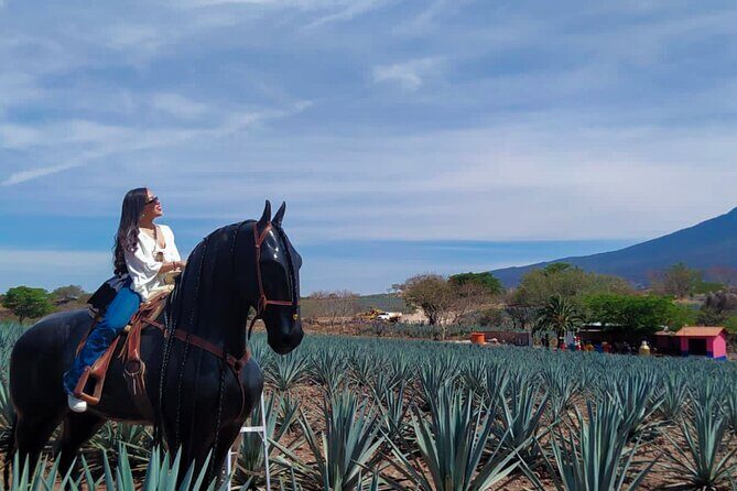 Tequila tour with tasting. - Tequila Tour Loreta: what the day actually feels like