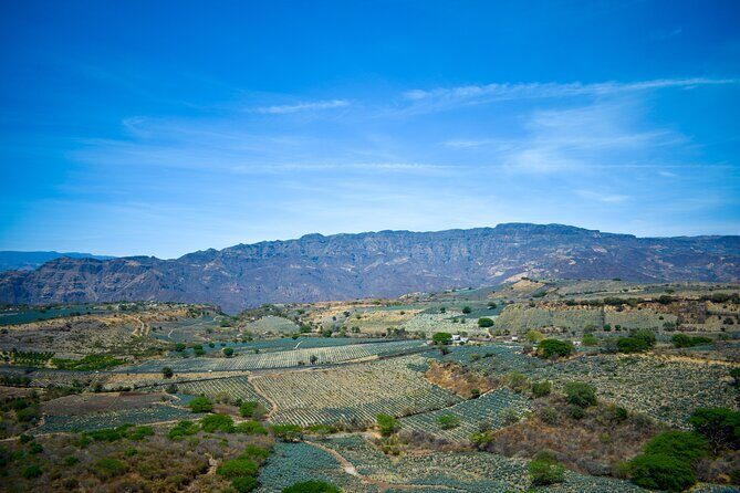 Tequila tour with tasting. - Stop 5: Cantaritos el Güero #1 (your classic Jalisco mix tasting)
