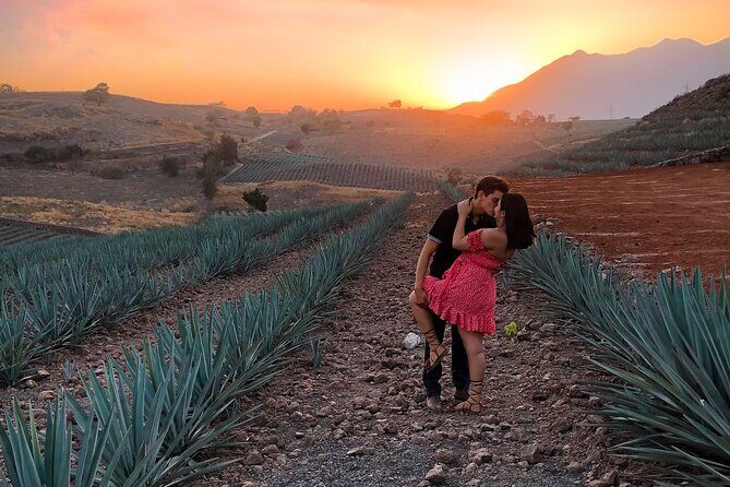 Tequila tour with tasting. - Price and time: $80 for a 10-hour Tequila day
