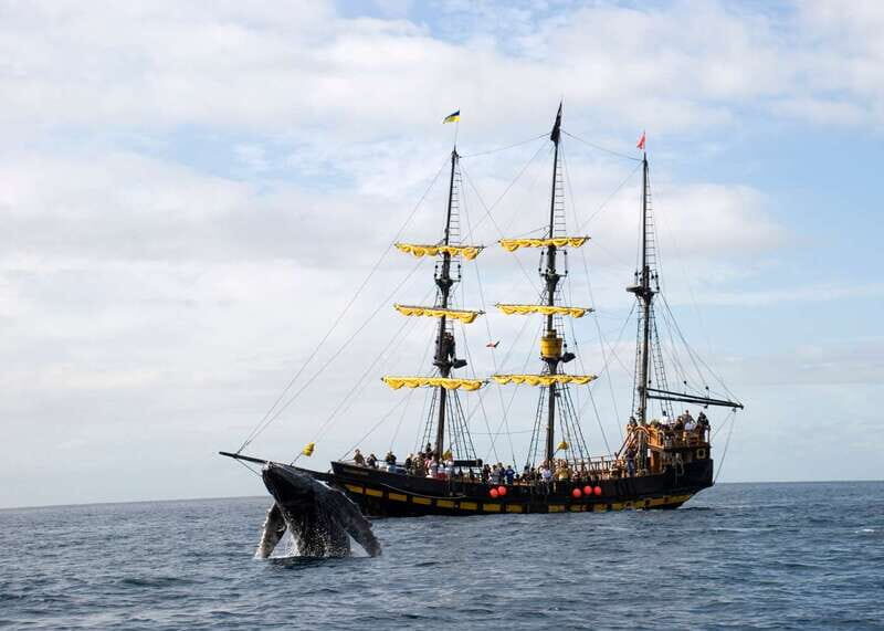 Thar She Blows! Whale Watching Pirate Cruise - Setting Sail from Cabo San Lucas: Finding Dock 0 without stress