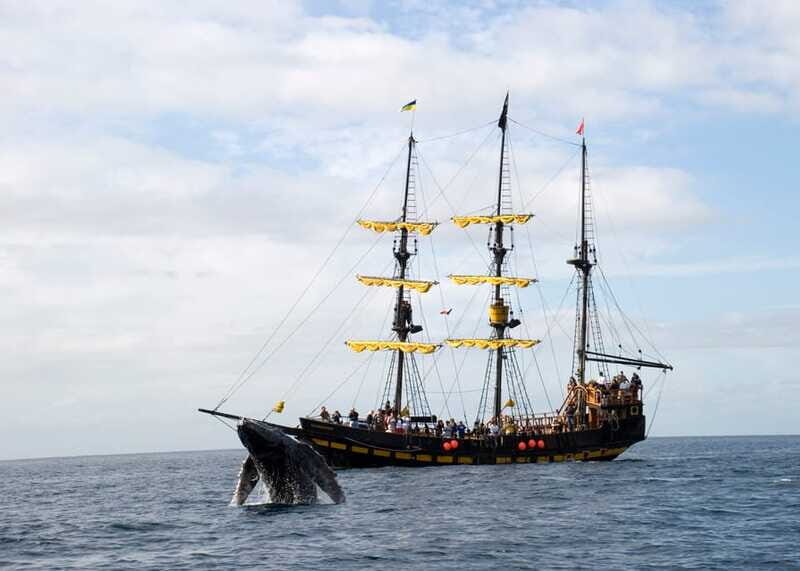 Thar She Blows! Whale Watching Pirate Cruise - Who this cruise fits best (and who should rethink it)