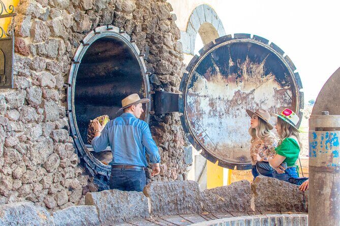 The Agave Experience Tequila Tour in Jalisco - A scenic tequila bar over agave fields: drinks and photo time
